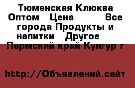 Тюменская Клюква Оптом › Цена ­ 200 - Все города Продукты и напитки » Другое   . Пермский край,Кунгур г.